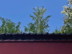 -西安市广仁寺