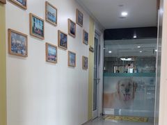 -谐和贝康宠物医院24小时·宠保定点(急重症转诊中心)