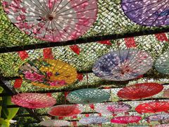 -田园寨农园观光园