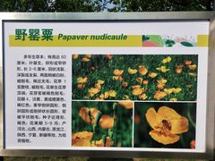 -国家植物园南园