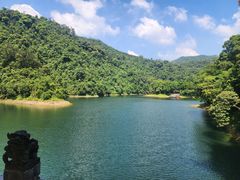 -鼎湖山风景区