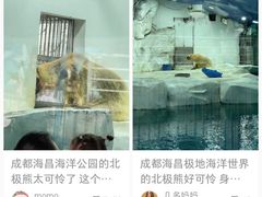 -海合安成都极地海洋公园