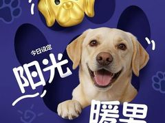 -上海第一八佰伴