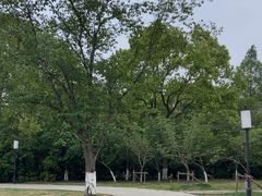 -榕记(番禺总店)