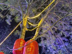 -天羽烤乳鸽店(财大家属院店)