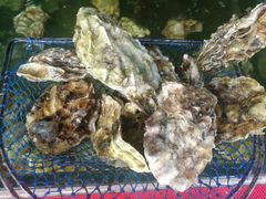-四海鲜渔家菜(黄金海岸店)
