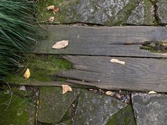 -杭州半山国家森林公园