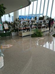 -IMON·HANSA潮玩玩偶毛绒玩具(通州万象汇店)