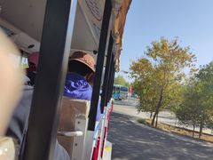 -金塔沙漠胡杨林景区
