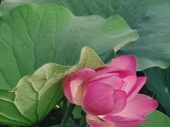 -羊亭河湿地公园