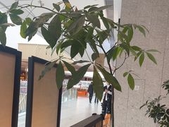 -沼津港精致料理·寿喜烧·烧鸟(龙湖南桥天街日料榜单店)