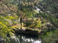 -上海醉白池公园