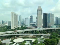 -新加坡摩天观景轮