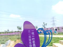 -紫颐香薰山谷景区