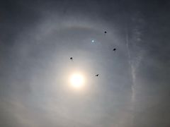 -大拿渔火锅(万豪白领富贵西园店)