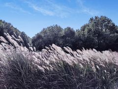 -山沟沟景区