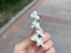 -大连植物园