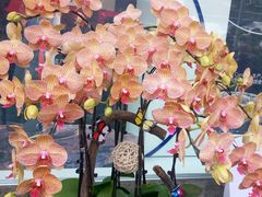 -精益眼镜(春熙路店)