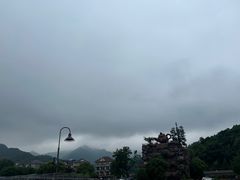 -龙坞茶村