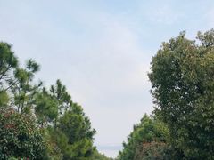 -雨花胜境