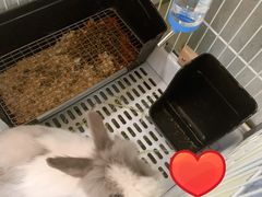 -小意思咖啡店(草桥店)