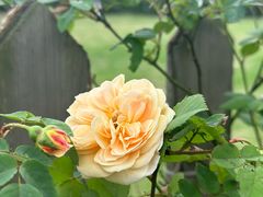 -国际非物质文化遗产博览园