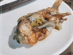 -肥鱼屯活鱼锅(惠工街店)