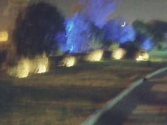 -世纪缘湖滨花园酒店(玄武湖店)