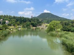 -牛首山文化旅游区