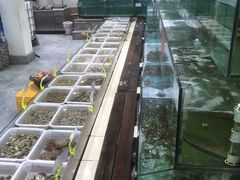 -海岛渔村大酒店(云霄路店)