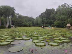 -中国科学院西双版纳热带植物园