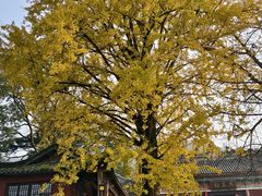 -佛荫寺
