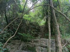 -水濂山森林公园