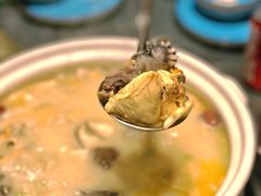 -金龙·打边炉(南京西路店)