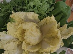 -草原传奇鲜羊火锅(桥北店)