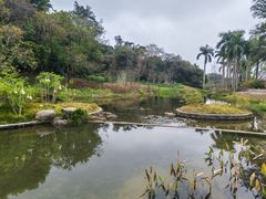 -云溪植物园