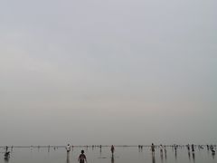 -南汇嘴观海公园