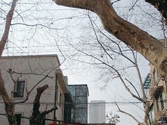 -瑞福园联谊餐室(茂名南路店)