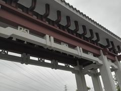 -王借岗森林公园
