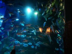 -成都浩海立方海洋公园