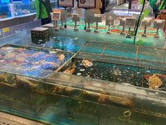 水产区-7fresh七鲜(大族广场店)