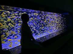 -成都浩海立方海洋公园