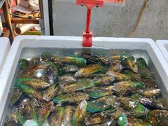 -蚝专家(北滘店)