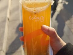 -CoCo都可(北新桥店)