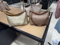 -COACH蔻驰(盛京奥特莱斯店)
