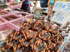 -南沙十九涌渔人码头-南门