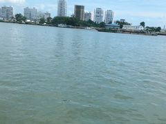 -鸭绿江中朝界河游船(1号观光码头)