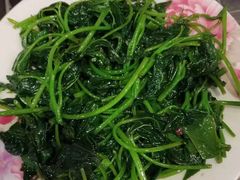 -天鹅到家·保姆月嫂育儿嫂(蔚蓝海岸店)