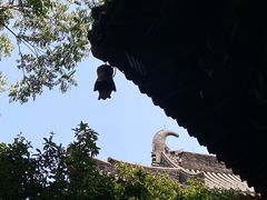 -慧因高丽寺