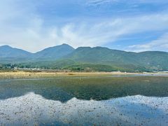 -腾冲北海湿地